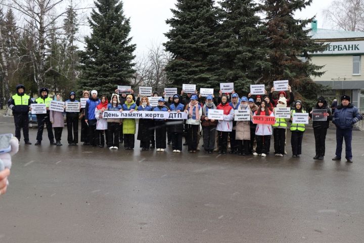В Дрожжановском районе РТ проходят мероприятия, приуроченные Всемирному дню памяти жертв ДТП