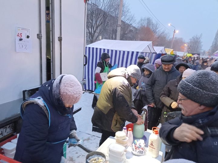 Дрожжановцы представляют предновогоднюю сельхозярмарку жителям Казани