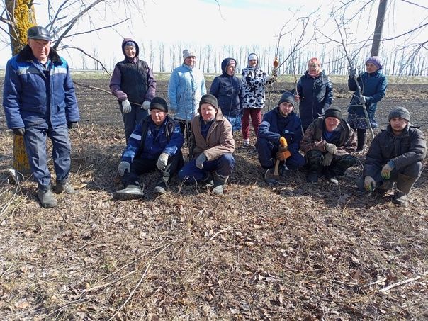 Новокакерлинцы Дрожжановского района вышли на очистку посадки