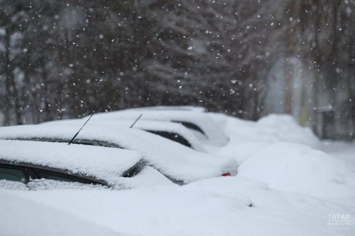 В России спрогнозировали теплую зиму