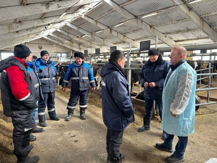 Марат Гафаров ознакомился с условиями работы в молочной ферме в селе Нижний Каракитан