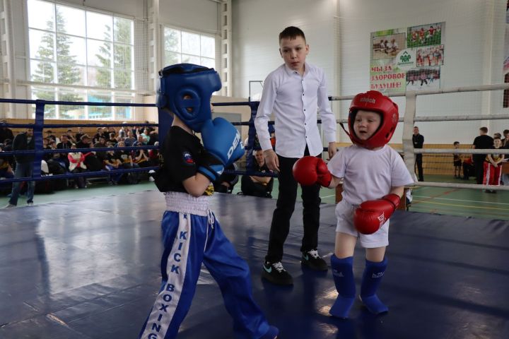 В Дрожжановском районе РТ прошли соревнования по кикбоксингу