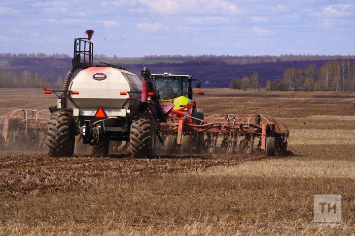 Здоровая почва – залог хорошего урожая