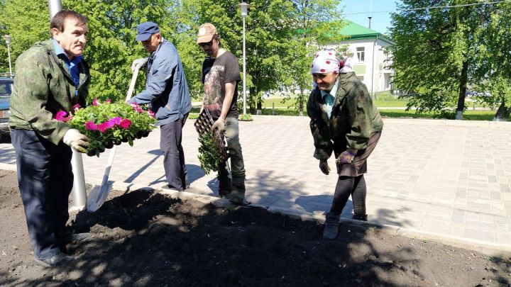 В Дрожжановском районе РТ полным ходом идёт посадка цветов