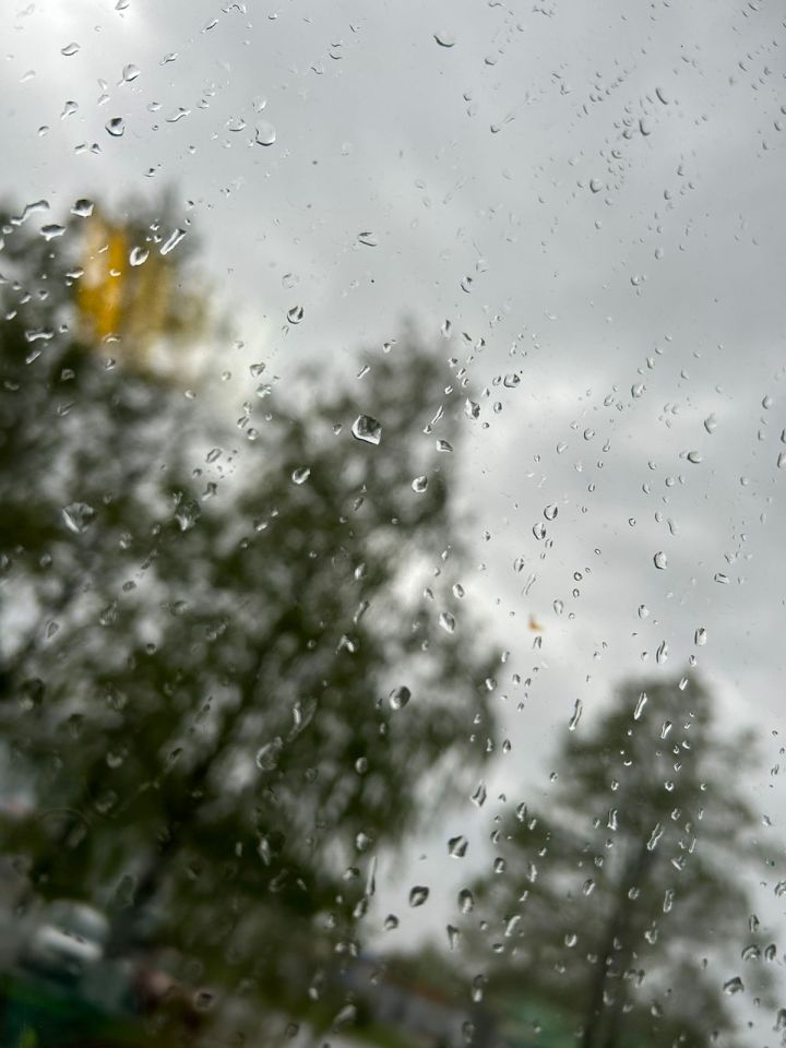 В Дрожжановском районе ожидается дождь и гроза