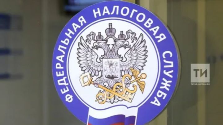Юрист рассказал, какие налоги нужно обязательно оплатить до 1 декабря