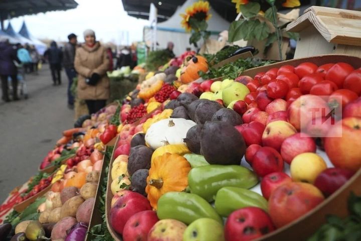 В 2025 году сельскохозяйственные ярмарки в Татарстане показали высокую результативность