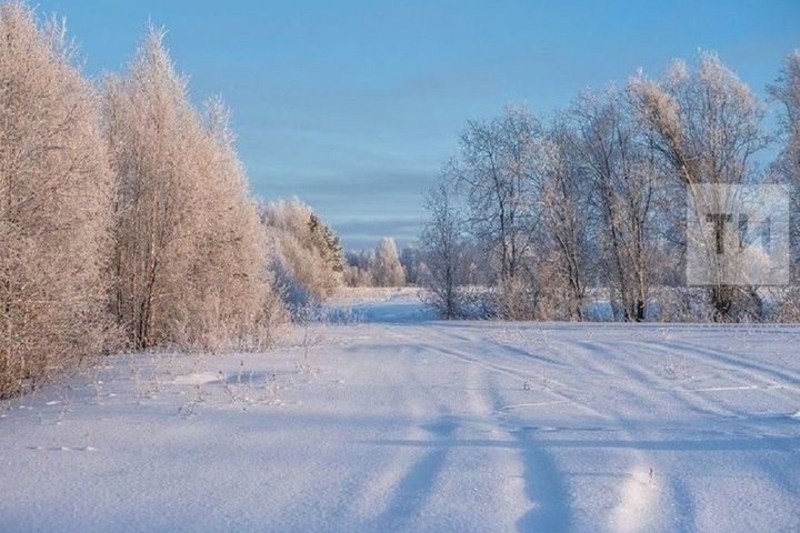 Погода в Дрожжановском районе на 25 января