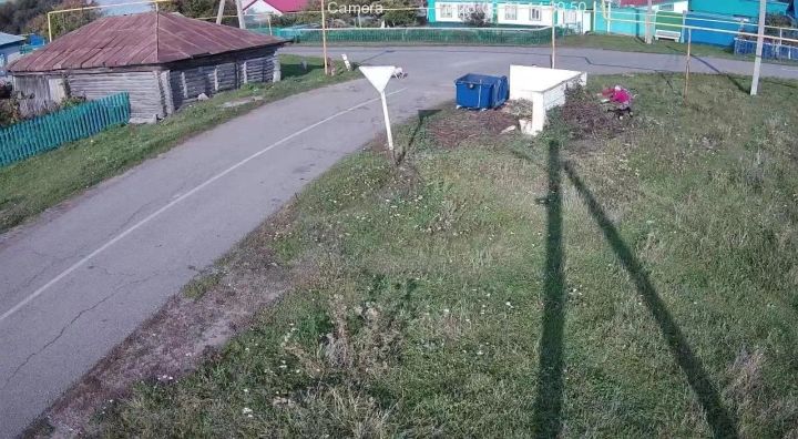 Ҫӳп-ҫап пăрахансене видеокамерăсем сӑнама пуçларӗç
