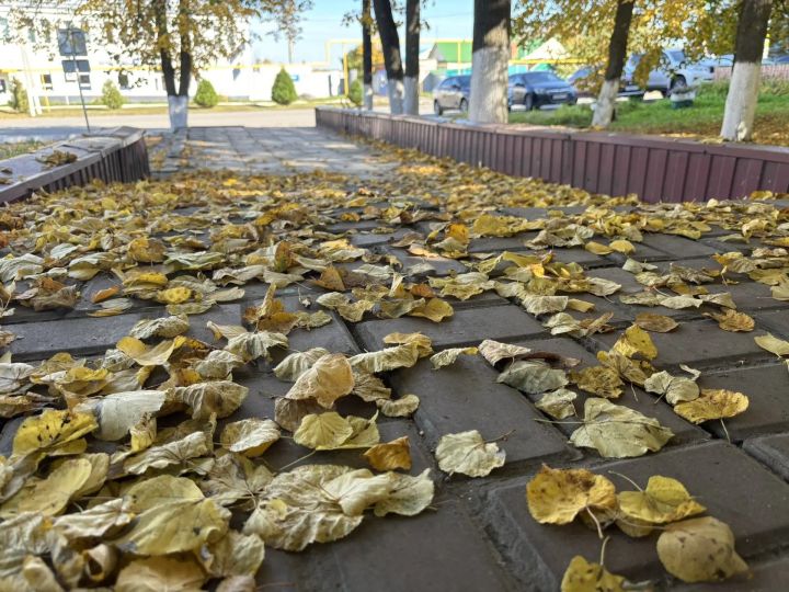 Сильный ветер и гололедица ожидаются в Татарстане