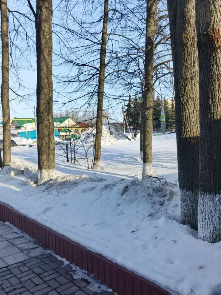 Погода в Дрожжановском районе на 17 марта