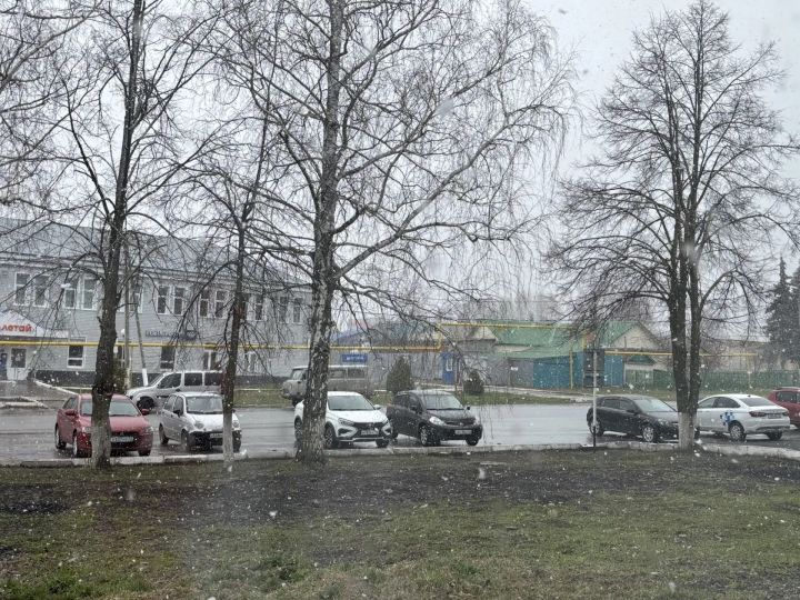 В Татарстане сохранятся холод и мокрый снег как минимум до конца апреля