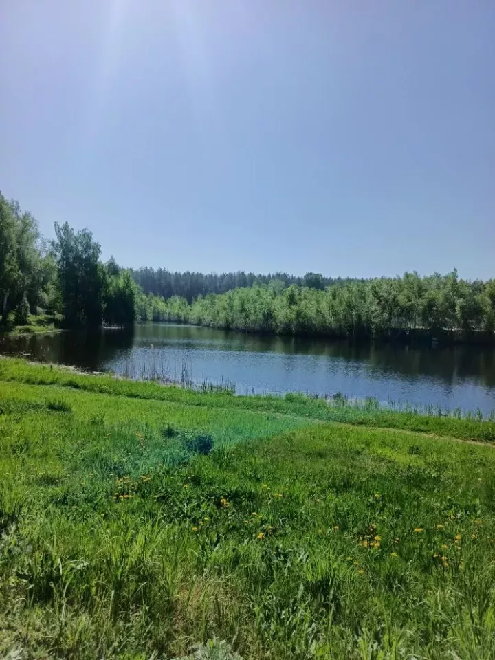 Погода в Дрожжановском районе на 21 мая