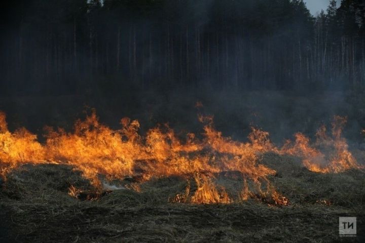 Жара может повысить класс пожарной опасности в Татарстане