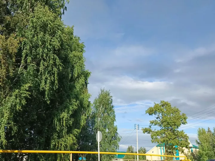 Какая погода ждет жителей Дрожжановского района 31 августа