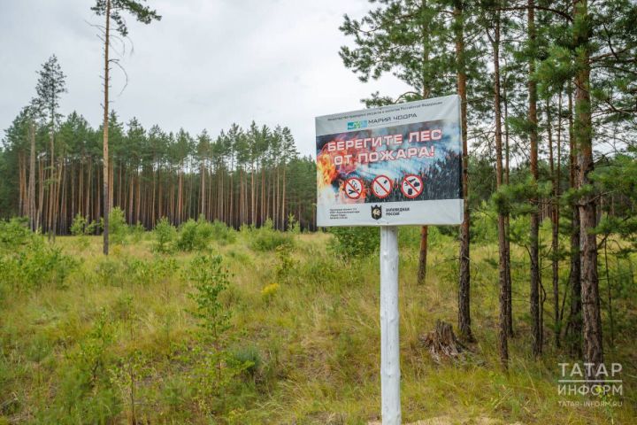 Пожароопасный сезон в Татарстане продлится до середины октября