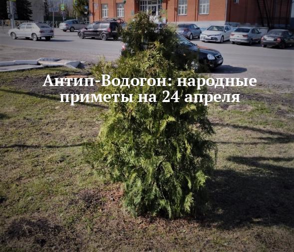 Антип Водогон. Антип Водогон 24 апреля. Антип Водогон (половод). Антип Водогон 24 апреля картинки.