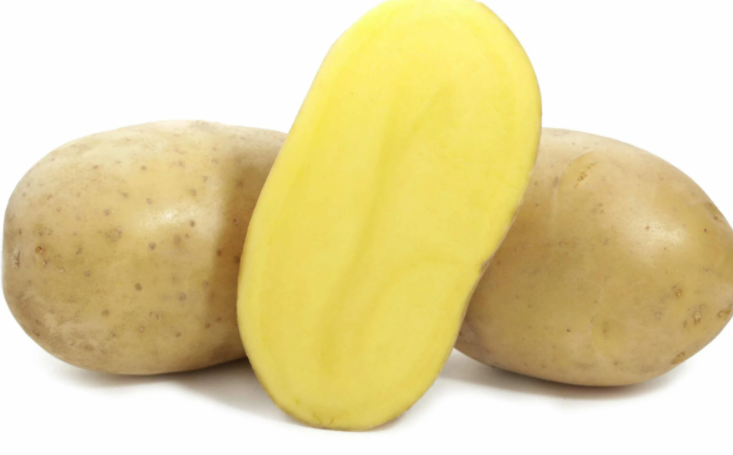 Картофель семенной Гала/Вега