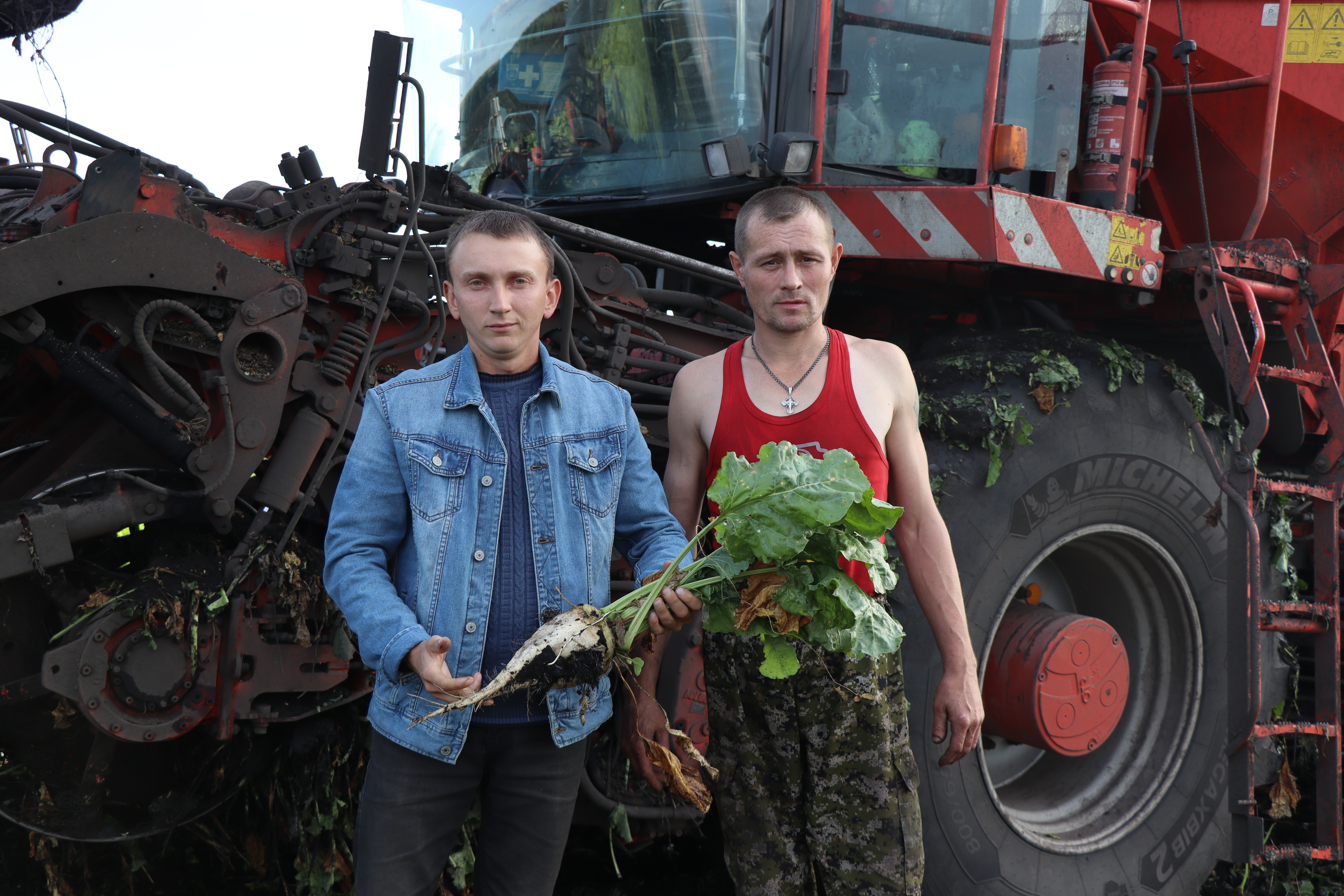 В КФХ «Р.А.Бикчуров» Дрожжановского района РТ завершили уборку сахарной  свеклы