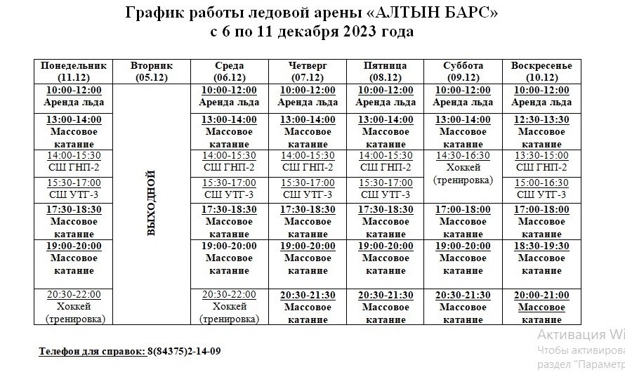 Для тех кто любит покататься на коньках : график работы ледовой арены "Алтын Бар