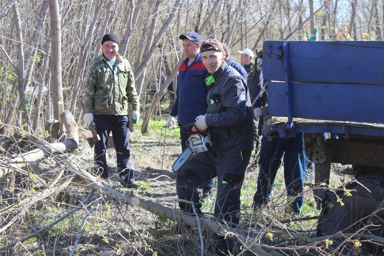 Дрожжановцы  убрались в овраге в центре района