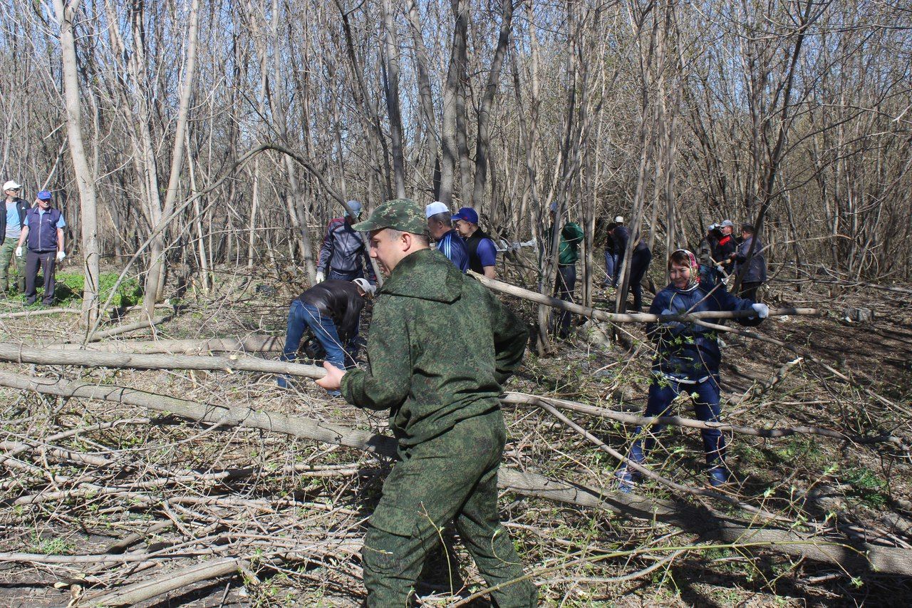 Дрожжановцы  убрались в овраге в центре района