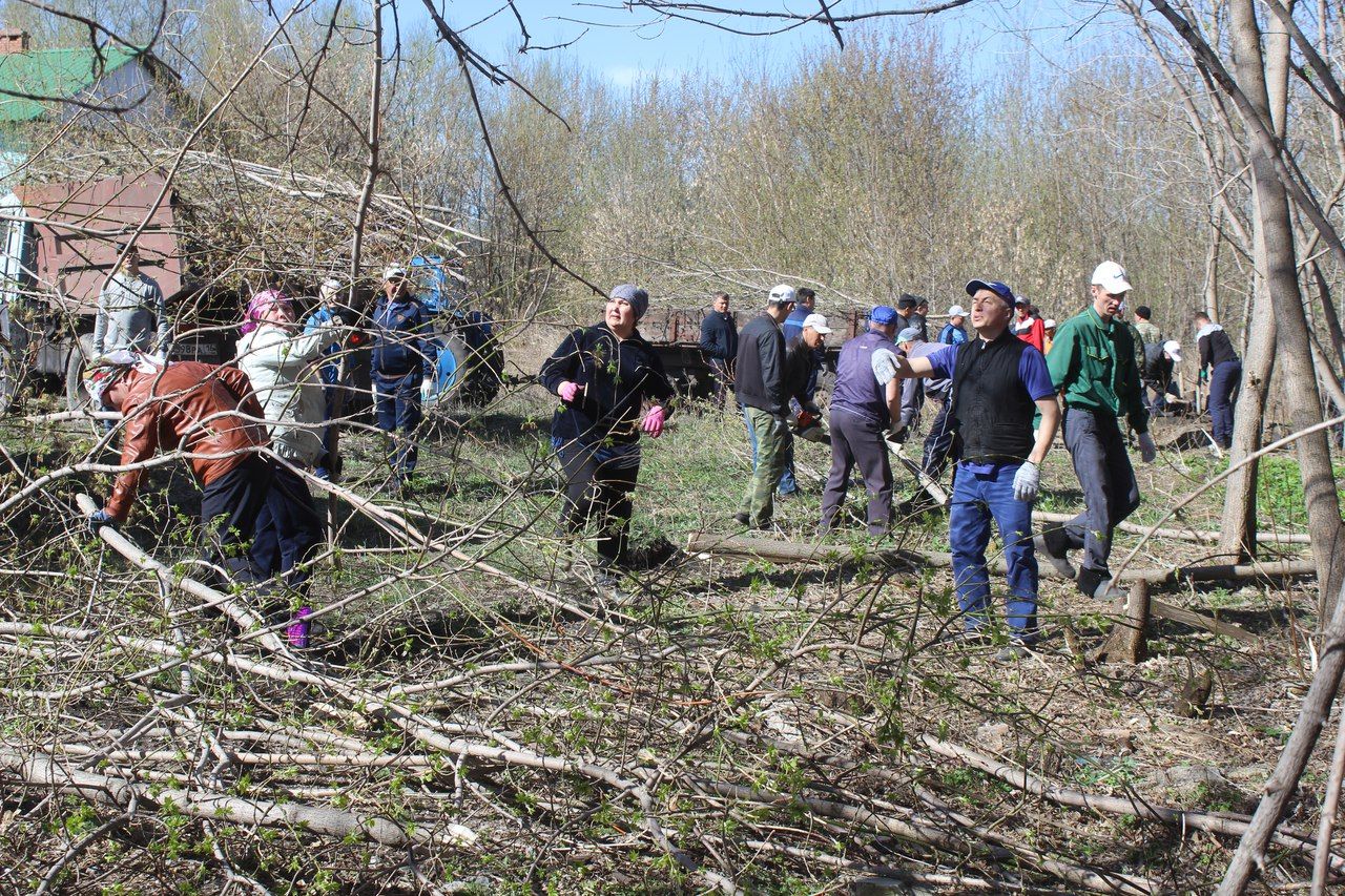 Дрожжановцы  убрались в овраге в центре района