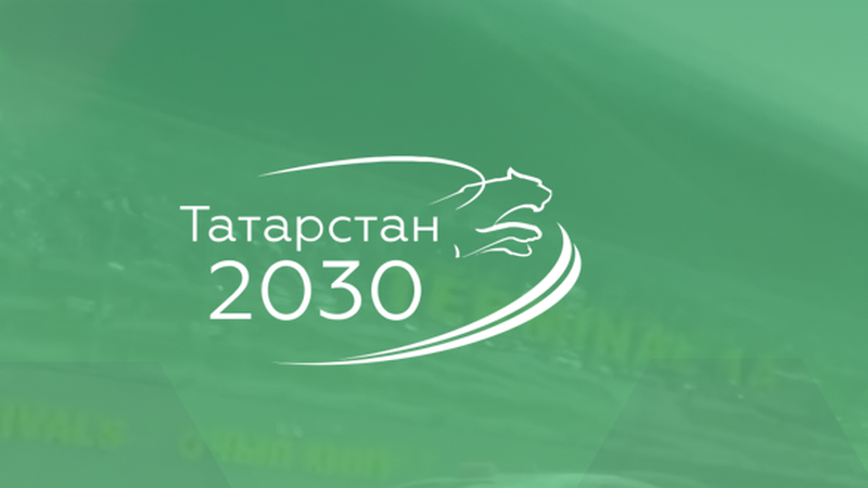Татарстан 2030. Стратегия 2030. Логотип стратегии Татарстан 2030.