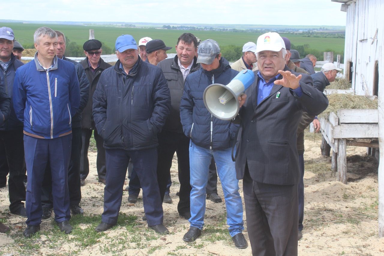 В Дрожжаном начали переводить скот на летне-лагерное содержание