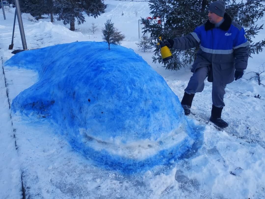 В селе Старое Дрожжаное центральную улицу украсили снежные фигуры