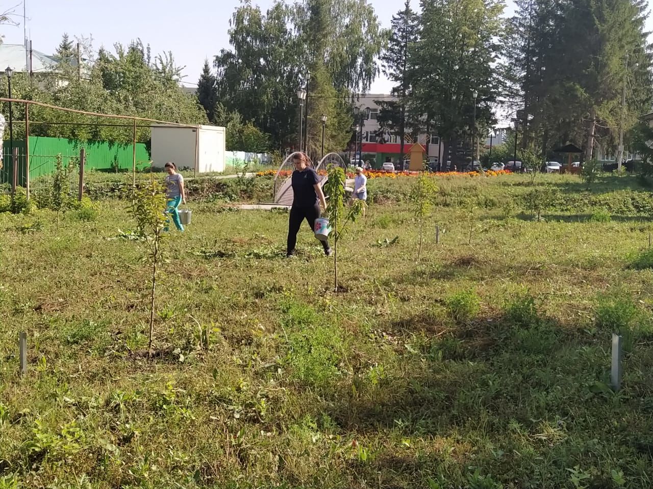 В день Яблочного Спаса дрожжановский ветеран-садовод посетил свои яблони