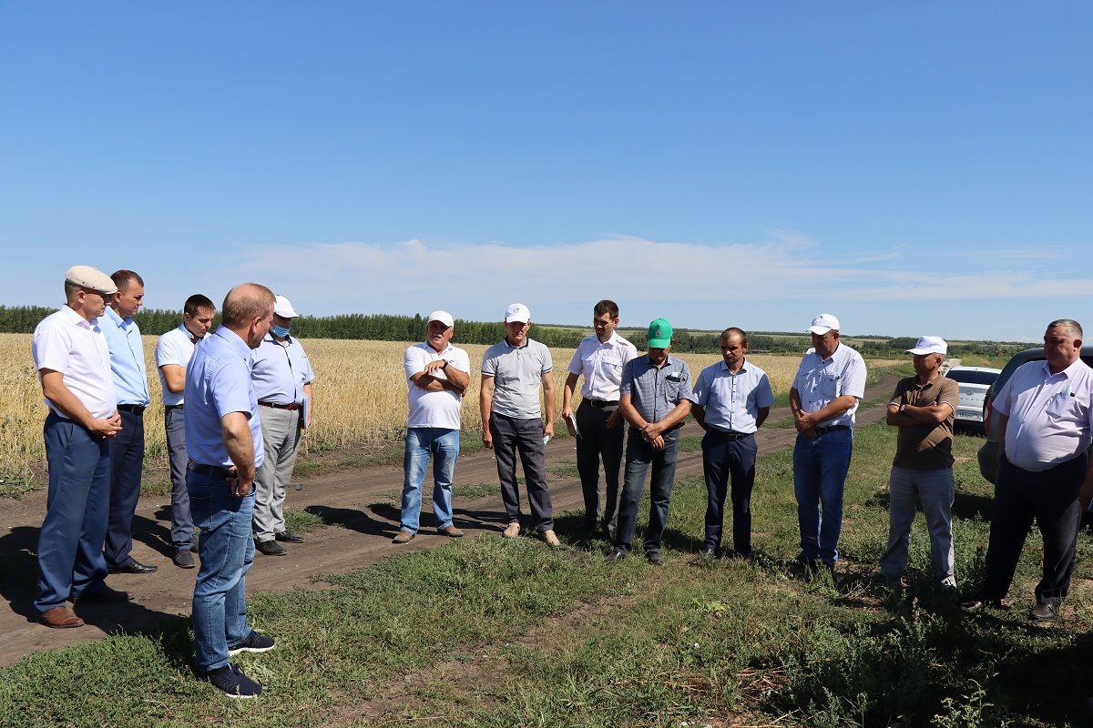 В Дрожжановском районе рассмотрели вопросы повышения деловой активности населения в селе Большая Цильна