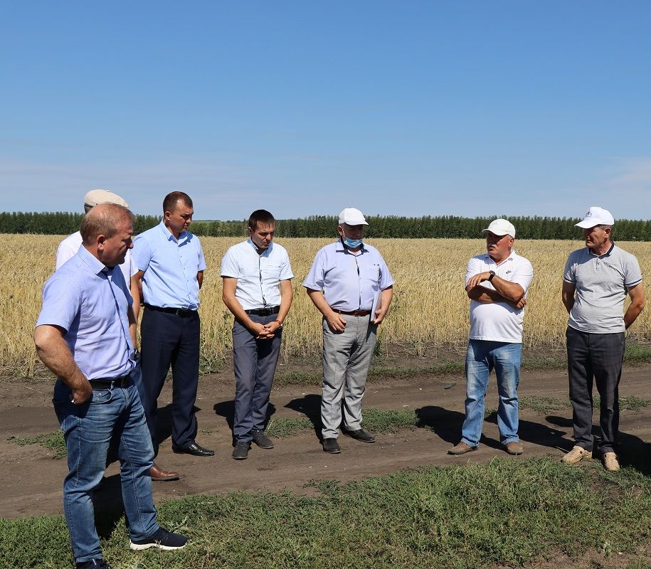 В Дрожжановском районе рассмотрели вопросы повышения деловой активности населения в селе Большая Цильна