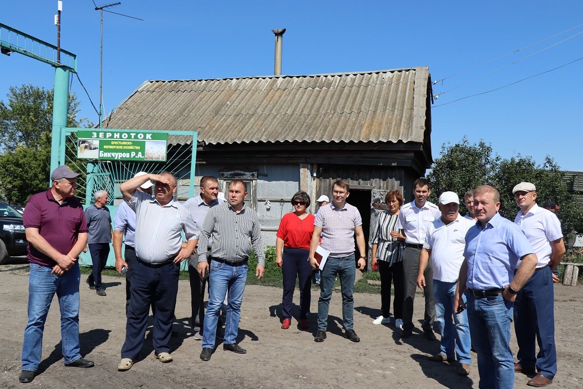 В Дрожжановском районе рассмотрели вопросы повышения деловой активности населения в селе Большая Цильна