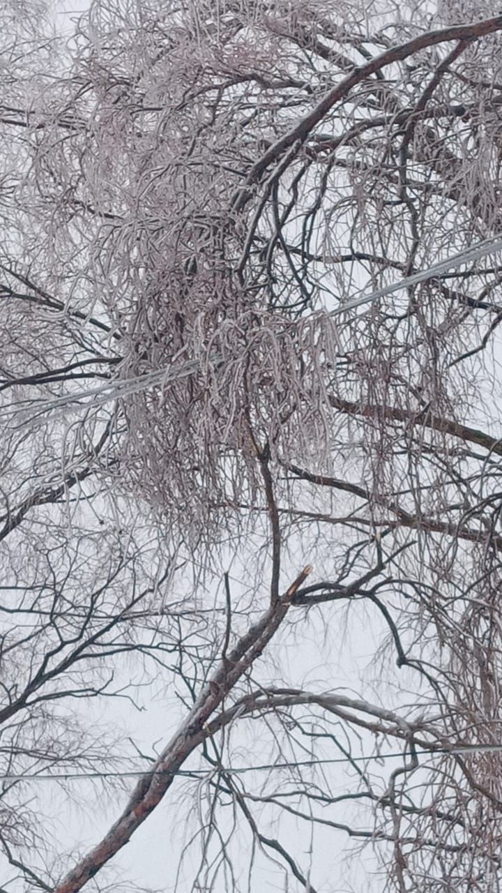 Дрожжановцы делятся кадрами ледяного дождя