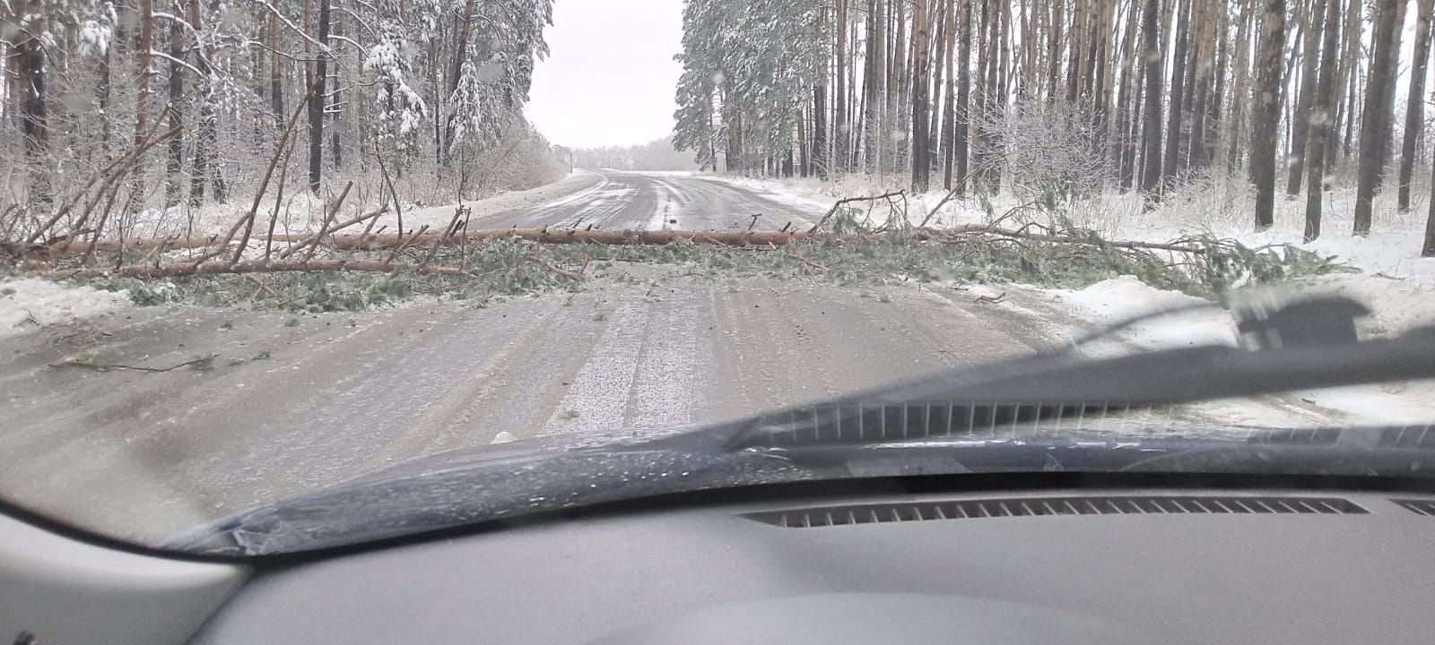 Дрожжановцы делятся кадрами ледяного дождя