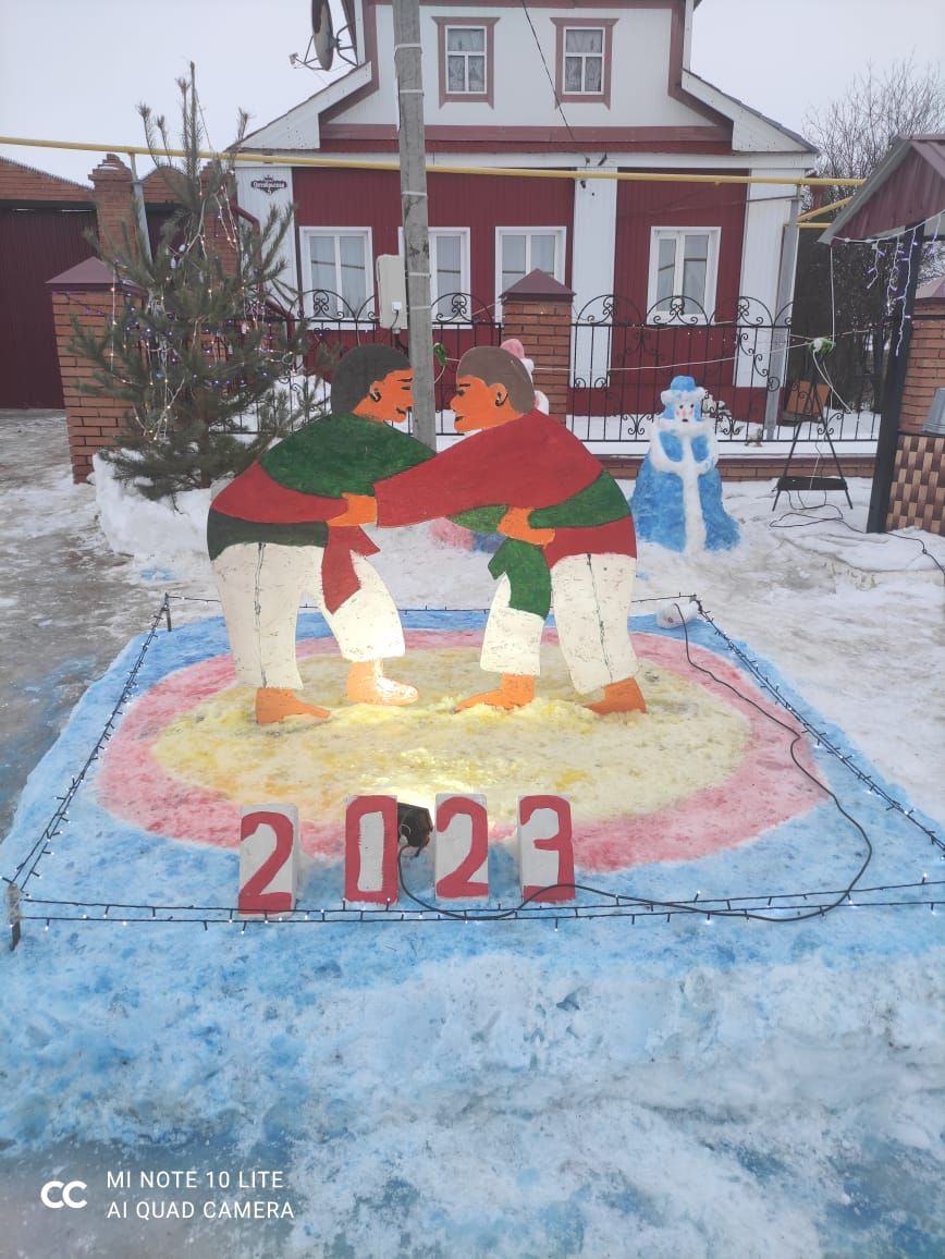 Жители Дрожжановского района продолжают украшать к Новому году свои дома