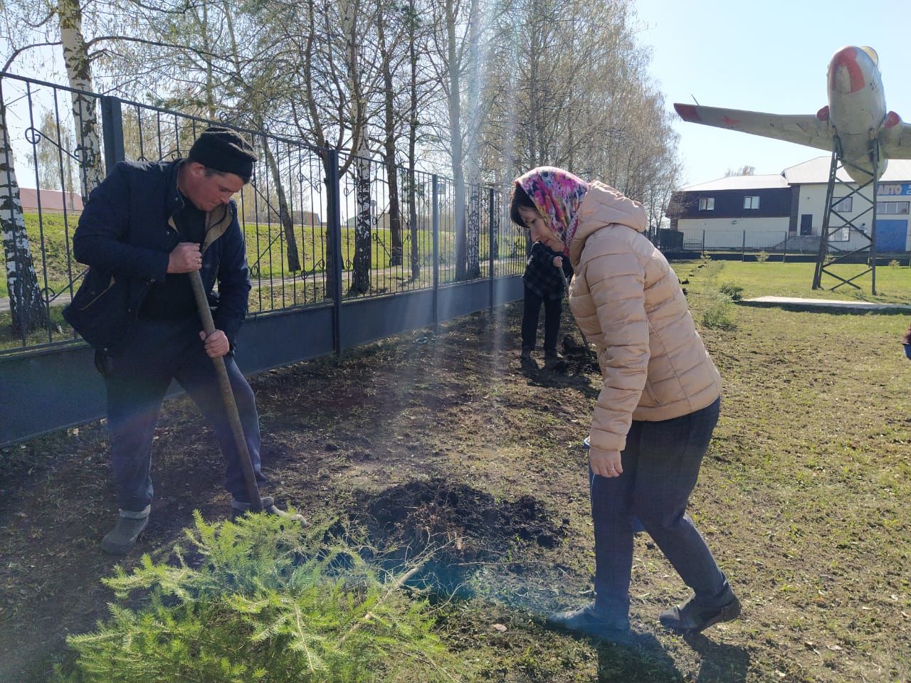 В парке имени Петра Дементьева в Дрожжаном посадили 77 елей