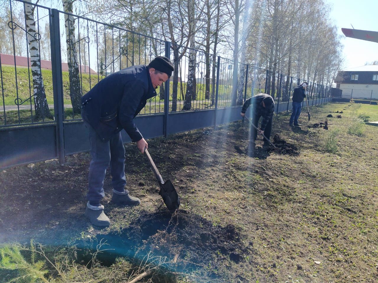 В парке имени Петра Дементьева в Дрожжаном посадили 77 елей