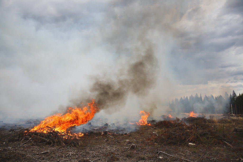 Расширенные пожары. Пожары. Пожар в лесу. Пожар фото. Лесной пожар фото.
