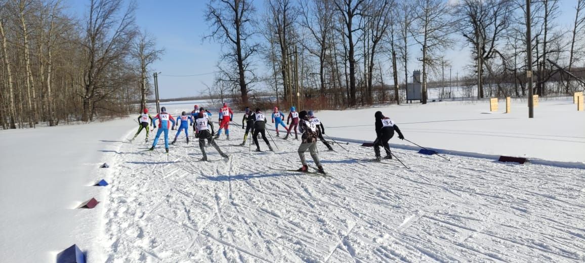 На лыжной базе Дрожжановского лесничества прошли соревнования «Чекурская лыжня»