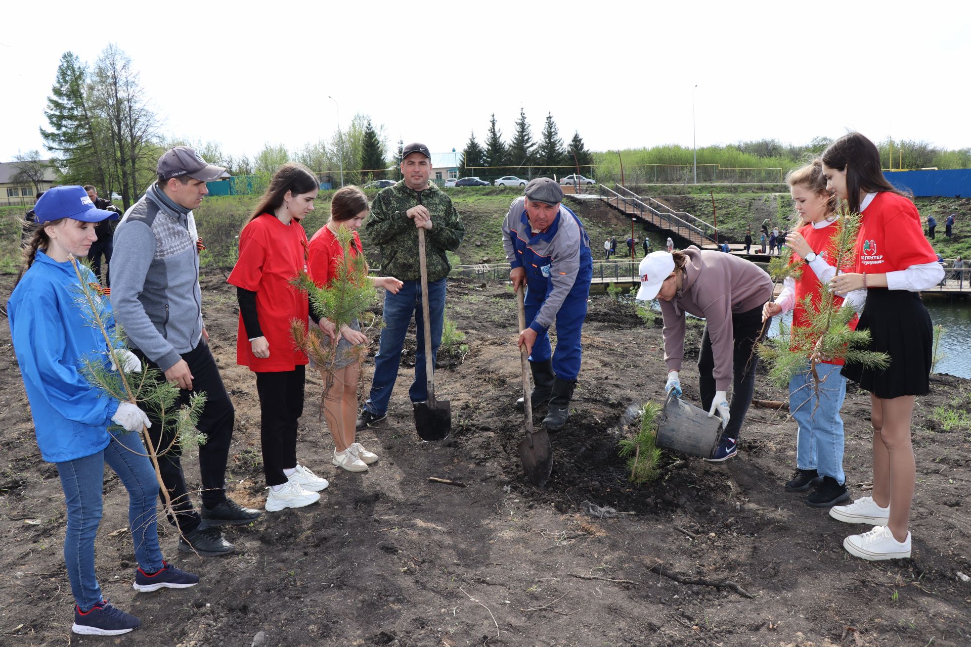 Около 500  молодых сосен и рябин посадили в Дрожжановском районе в рамках акции «Сад памяти»