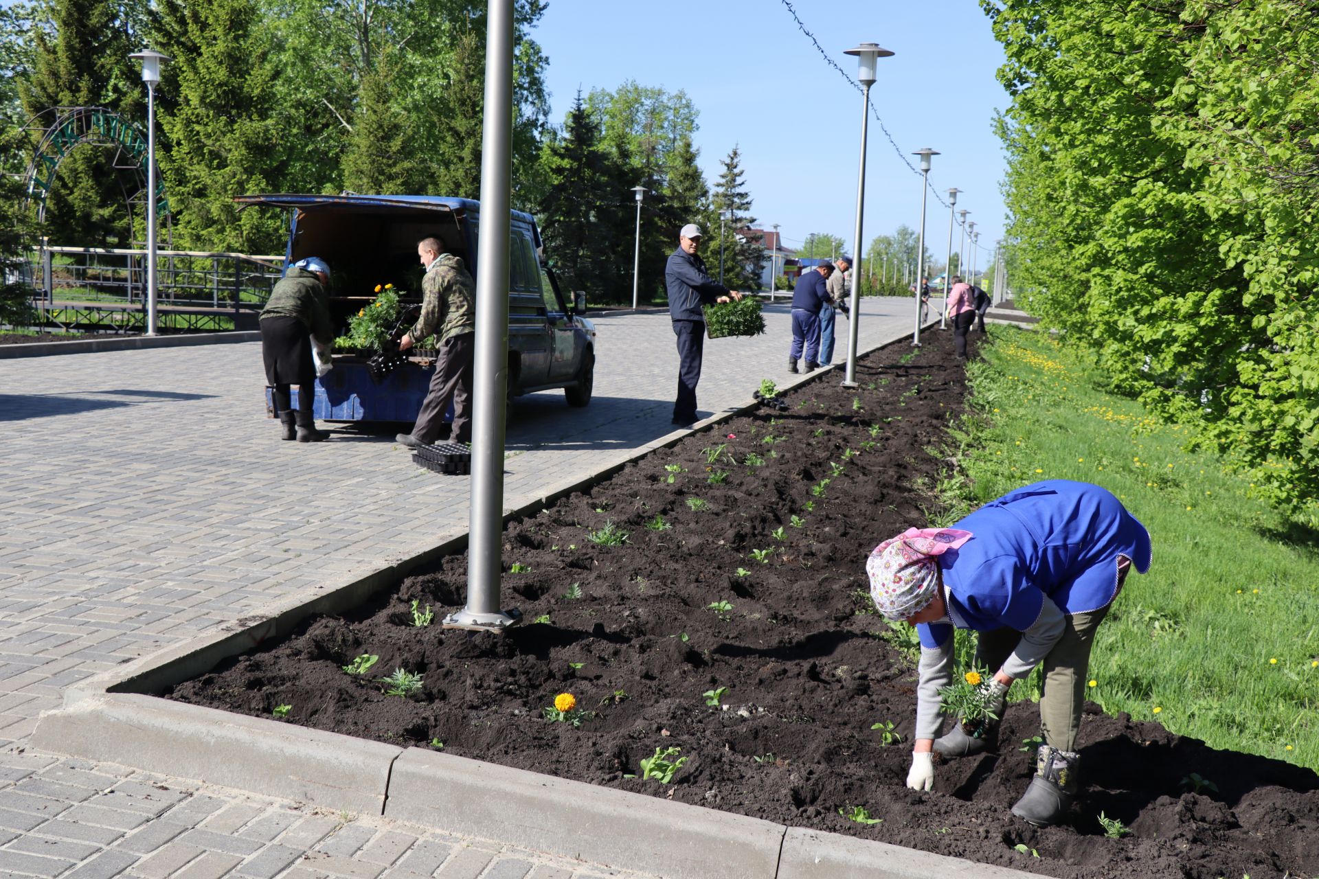 В Дрожжановском районе идет посадка цветов