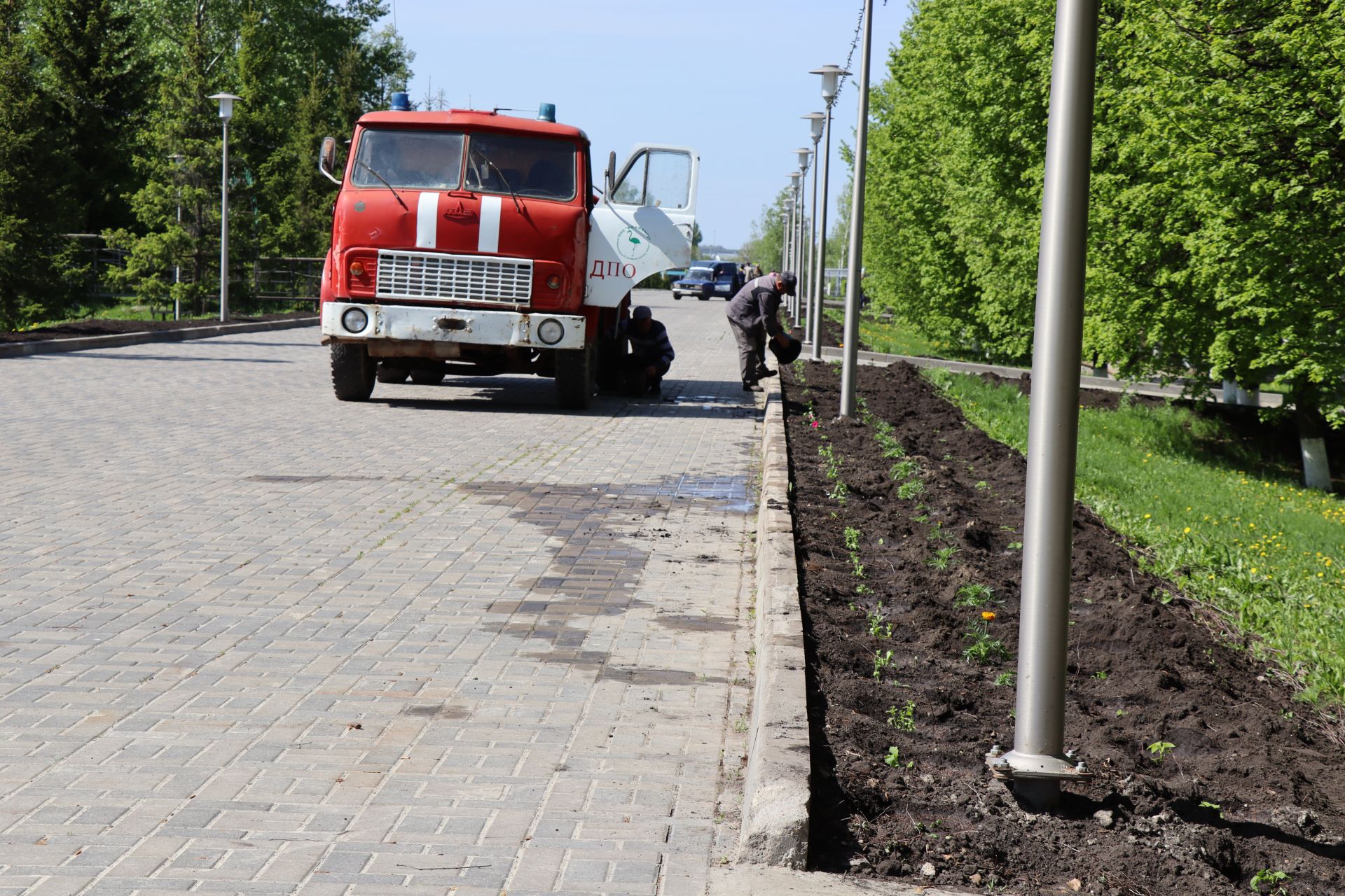 В Дрожжановском районе идет посадка цветов
