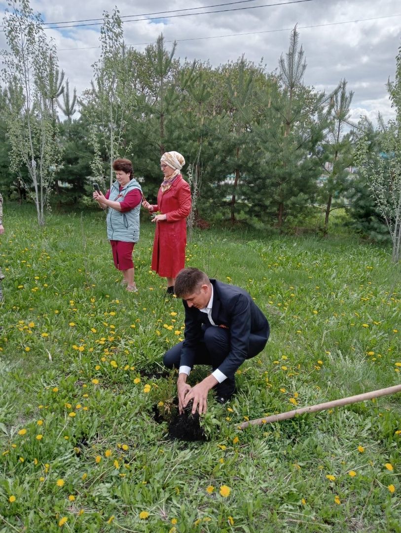 В селе Новые Какерли Дрожжановского района в школьном парке ко Дню Победы посадили деревья