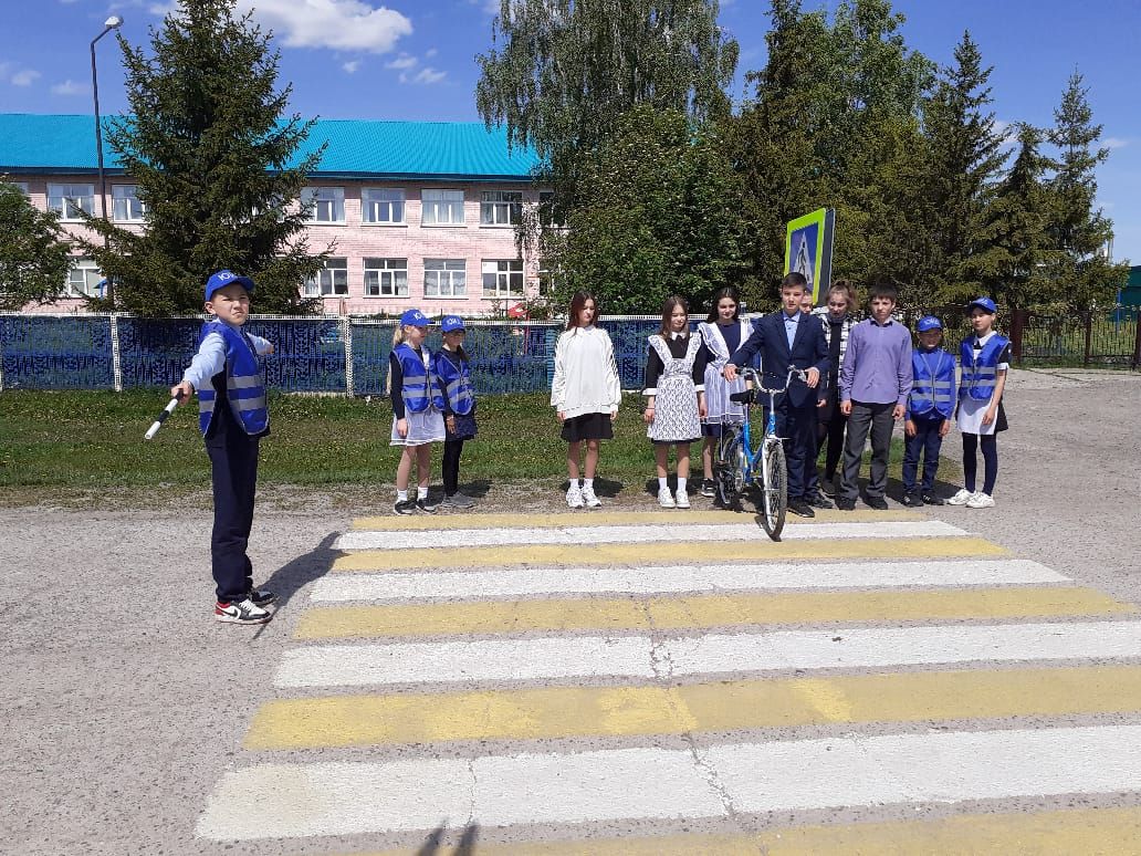 В Дрожжановском районе РТ в школах проходят профилактические мероприятия в рамках акции  “Внимание – дети”