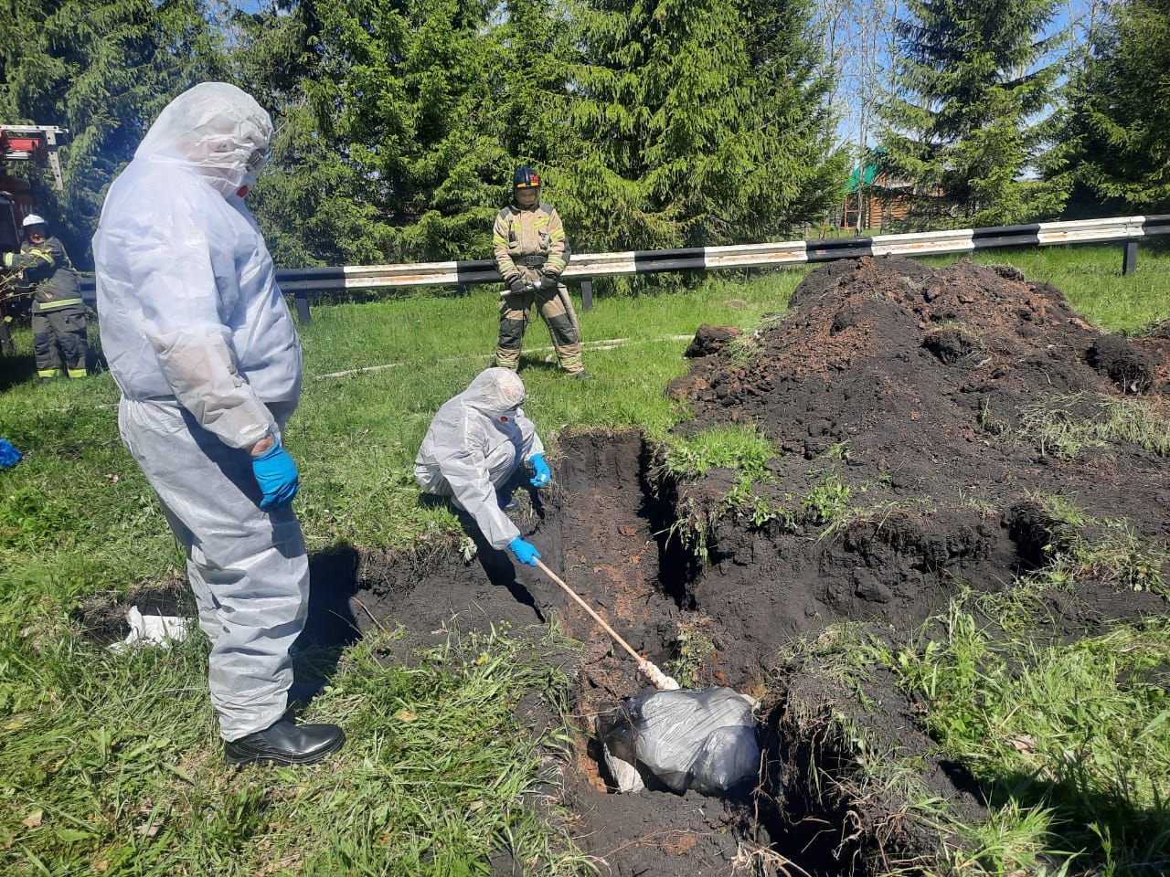 В Дрожжановском районе РТ провели учения по ликвидации очага африканской чумы свиней