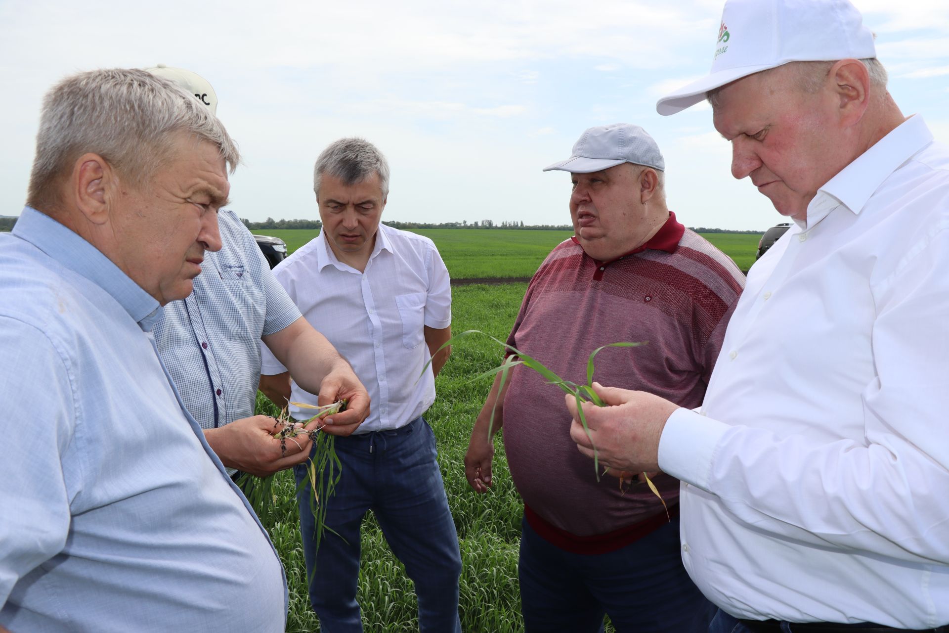 В Дрожжановском районе РТ специалисты оценили качество полевых работ и сделали прогнозы на будущий урожай