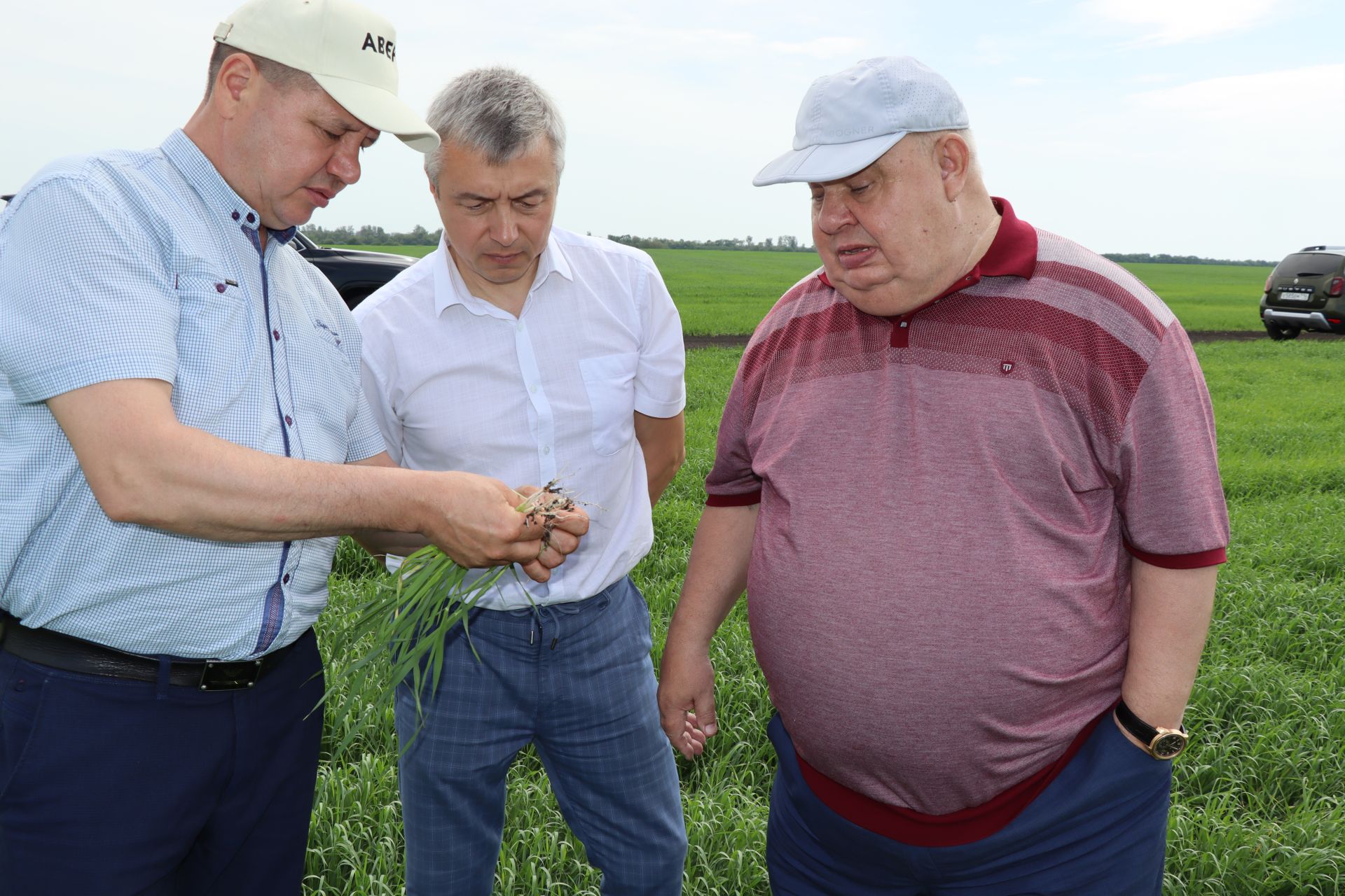 В Дрожжановском районе РТ специалисты оценили качество полевых работ и сделали прогнозы на будущий урожай