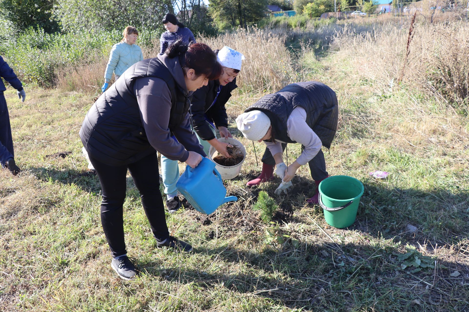 В Дрожжановском районе РТ организовали посадку деревьев